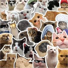 50 Pcs Cat Stickers,Funny Cat Meme ...