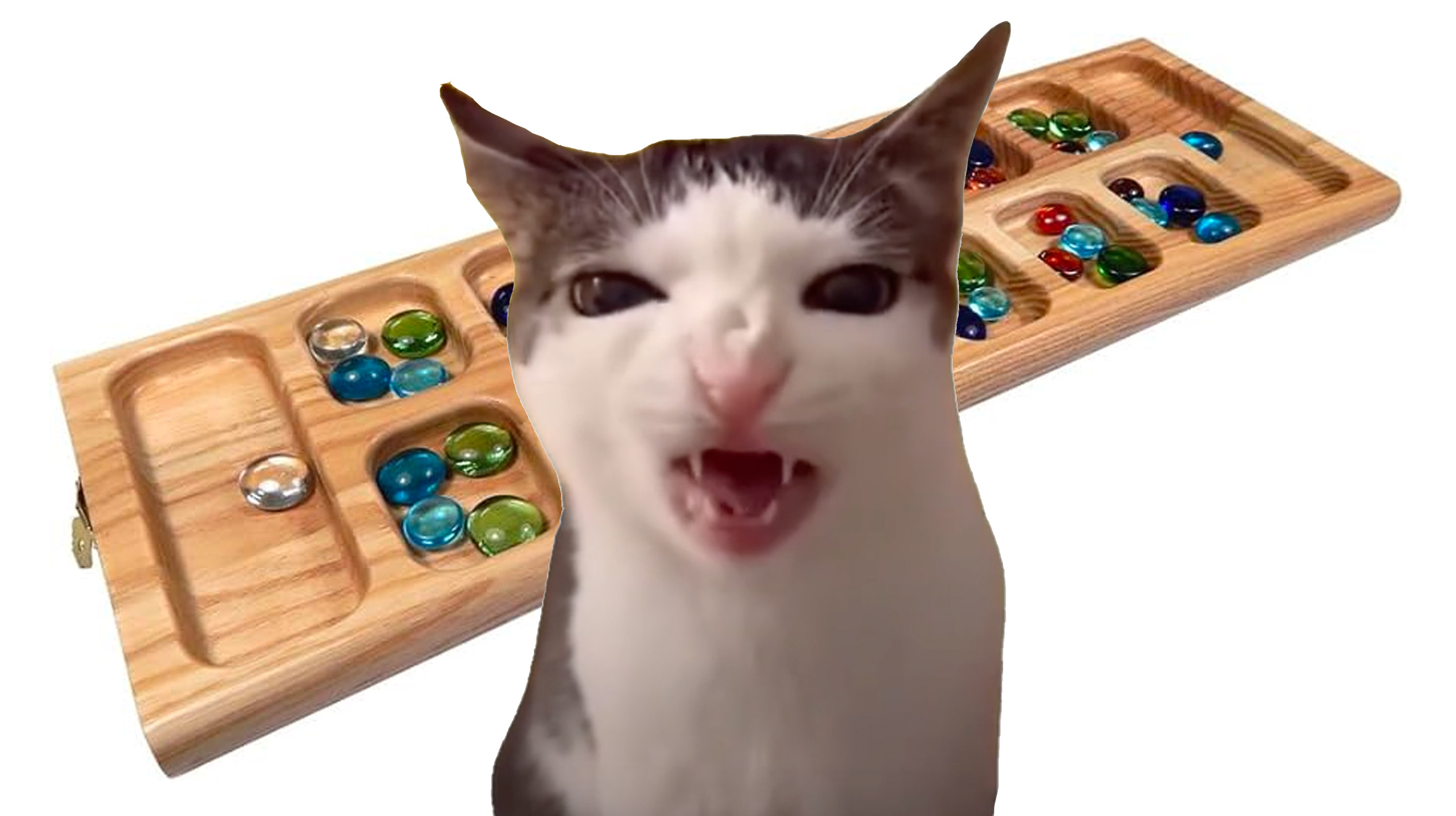 Cat Crunching / Crunchy Cat