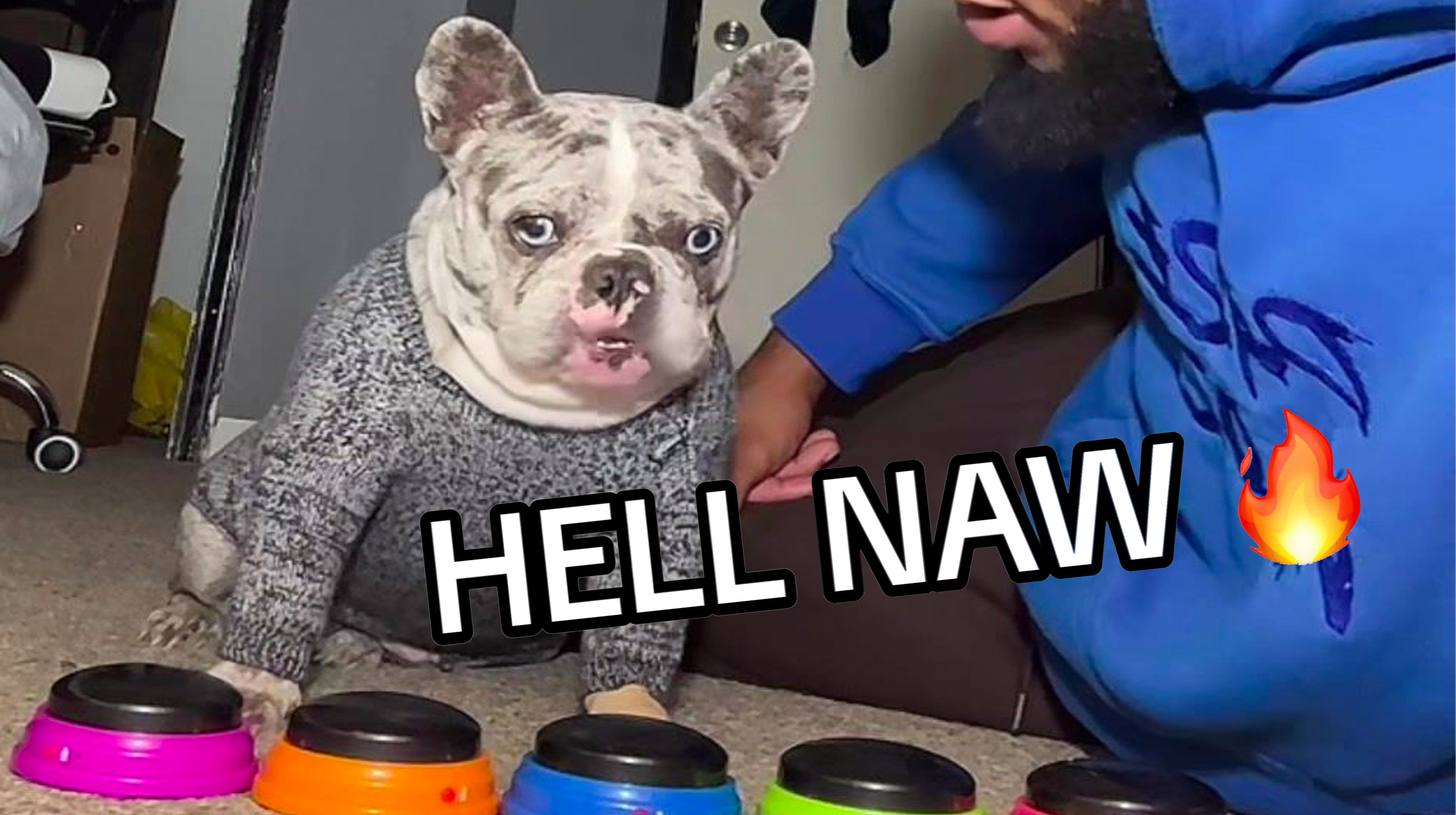"Hell Naw" Dog